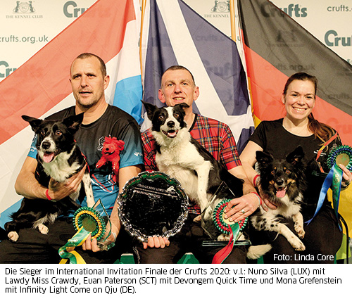 Sieger Crufts 2020 Agility