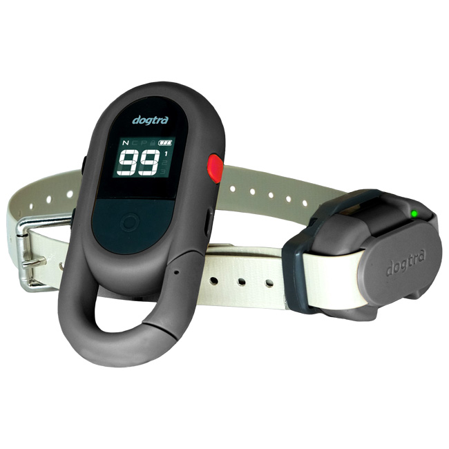 Dogtra iQ FLEX Ferntrainer