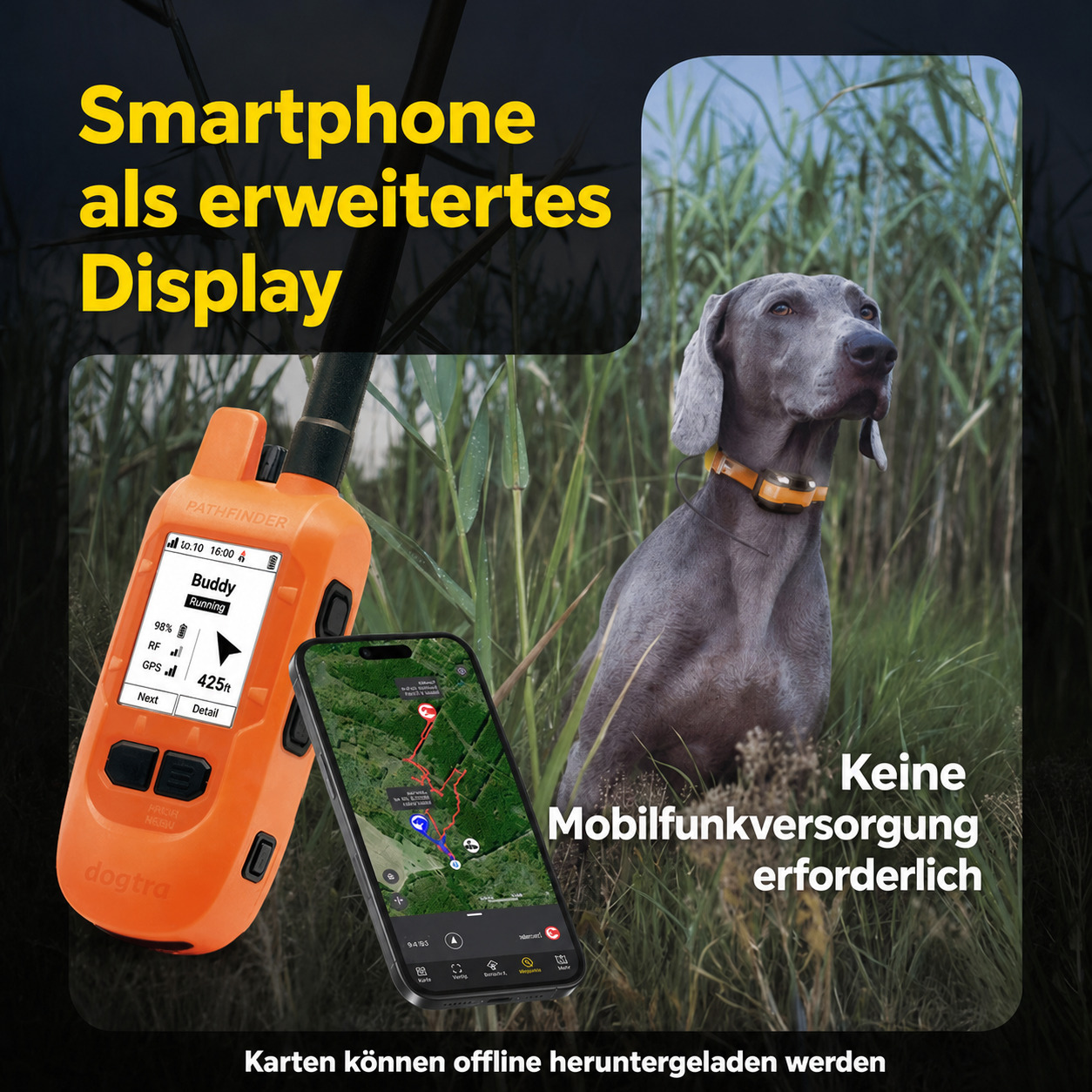 Dogtra Pathfinder 2 Compass