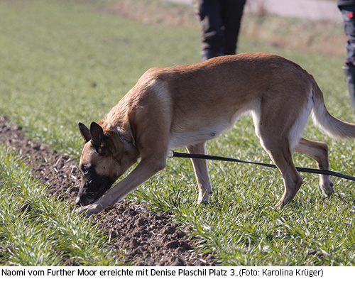 Platz 3 für Naomi vom Further Moor