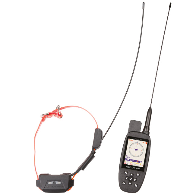 Canicom GPS 2 MINI mit Stimulation