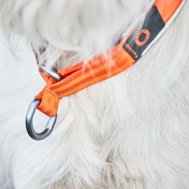 Non-Stop dogwear Cruise Collar Orange XL 48-55cm