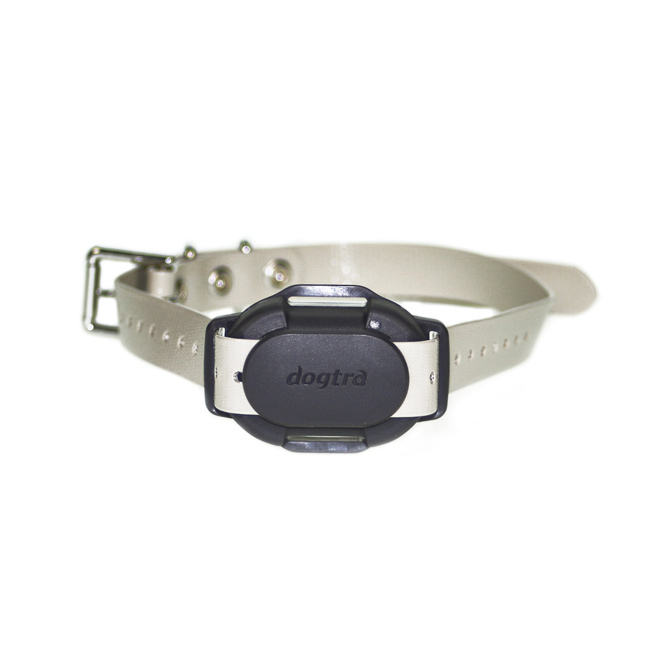 Zusatzhalsbandempfänger Dogtra iQ FLEX
