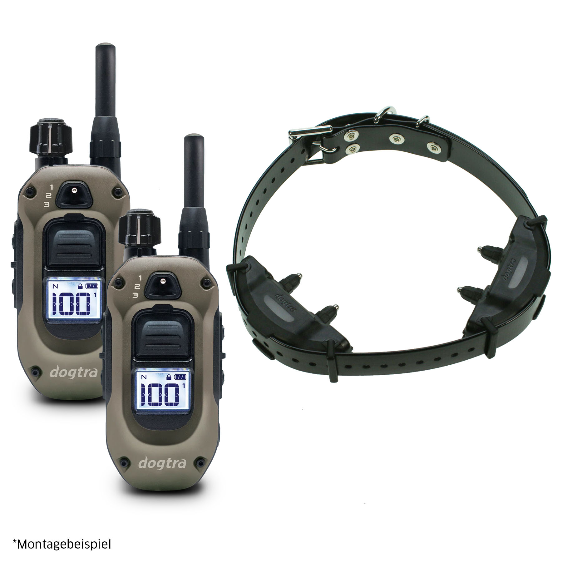Dogtra ARC-X Doppelkontaktsystem HS