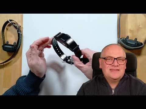 Zusatzhalsbandempfänger Dogtra ARC-X blau